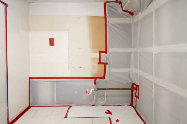 Professional Mold Removal in High Springs, FL