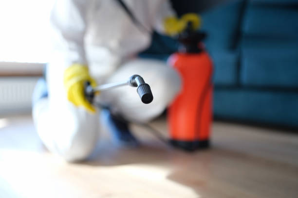 Best Indoor Air Quality Assessment  in High Springs, FL